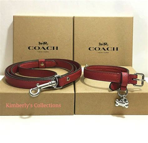 cheap coach dog collars and leashes